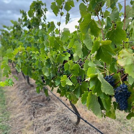 Bracken Ridge Vineyard The Entire Estate Villa Rothbury Buitenkant foto