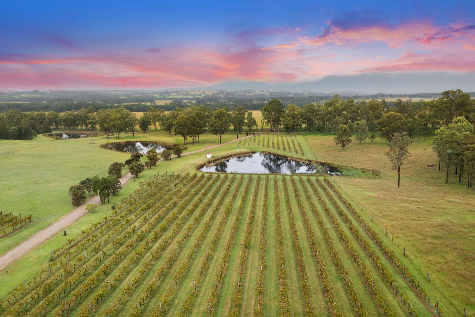 Bracken Ridge Vineyard The Entire Estate Villa Rothbury Buitenkant foto