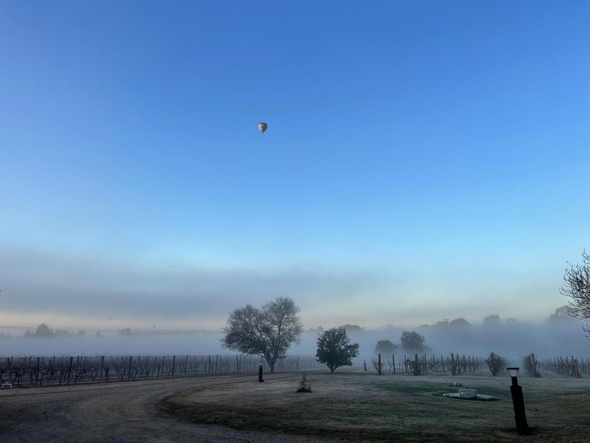 Bracken Ridge Vineyard - The Kingston - Villa 3 Rothbury Buitenkant foto