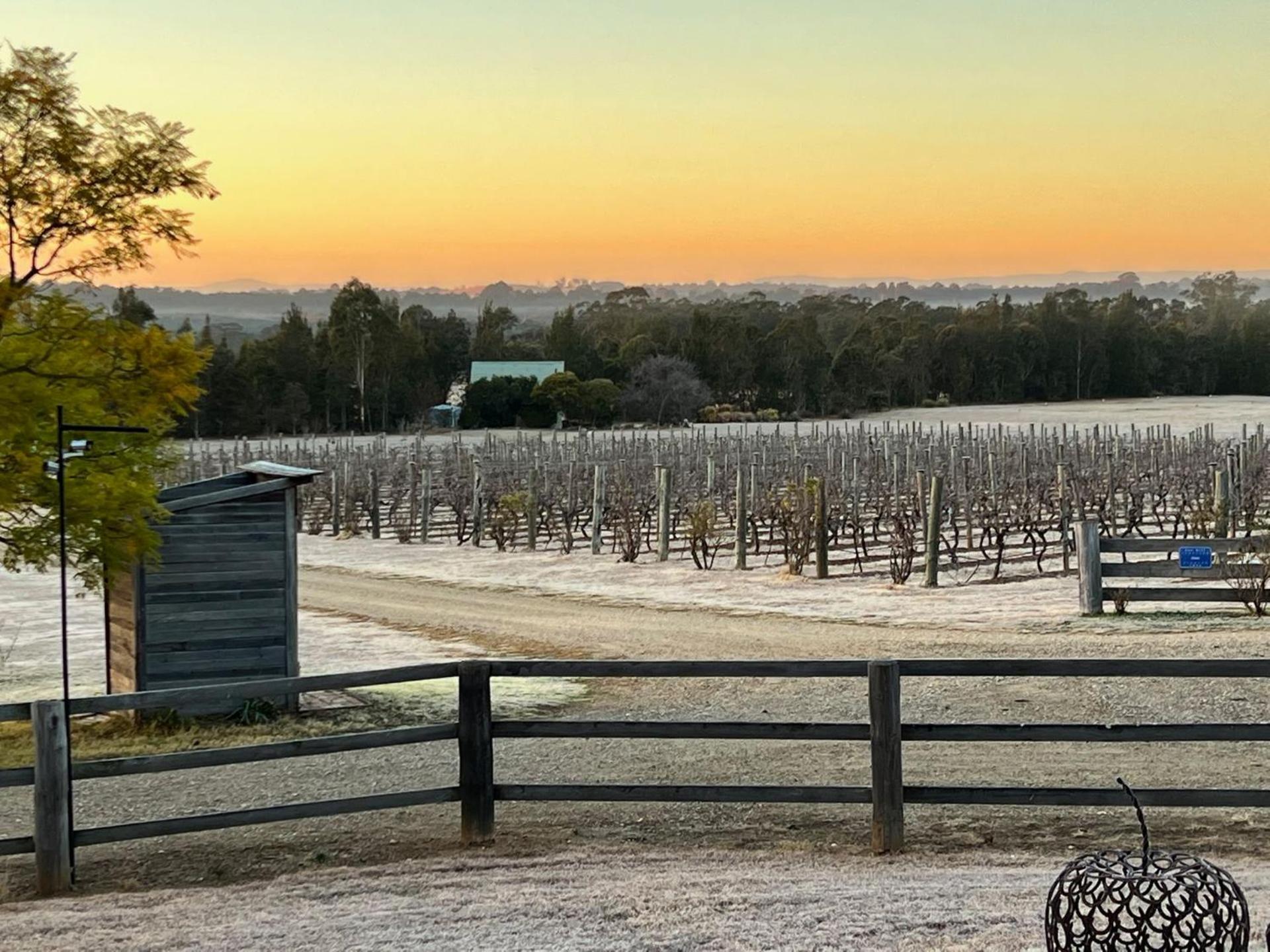 Bracken Ridge Vineyard The Entire Estate Villa Rothbury Buitenkant foto
