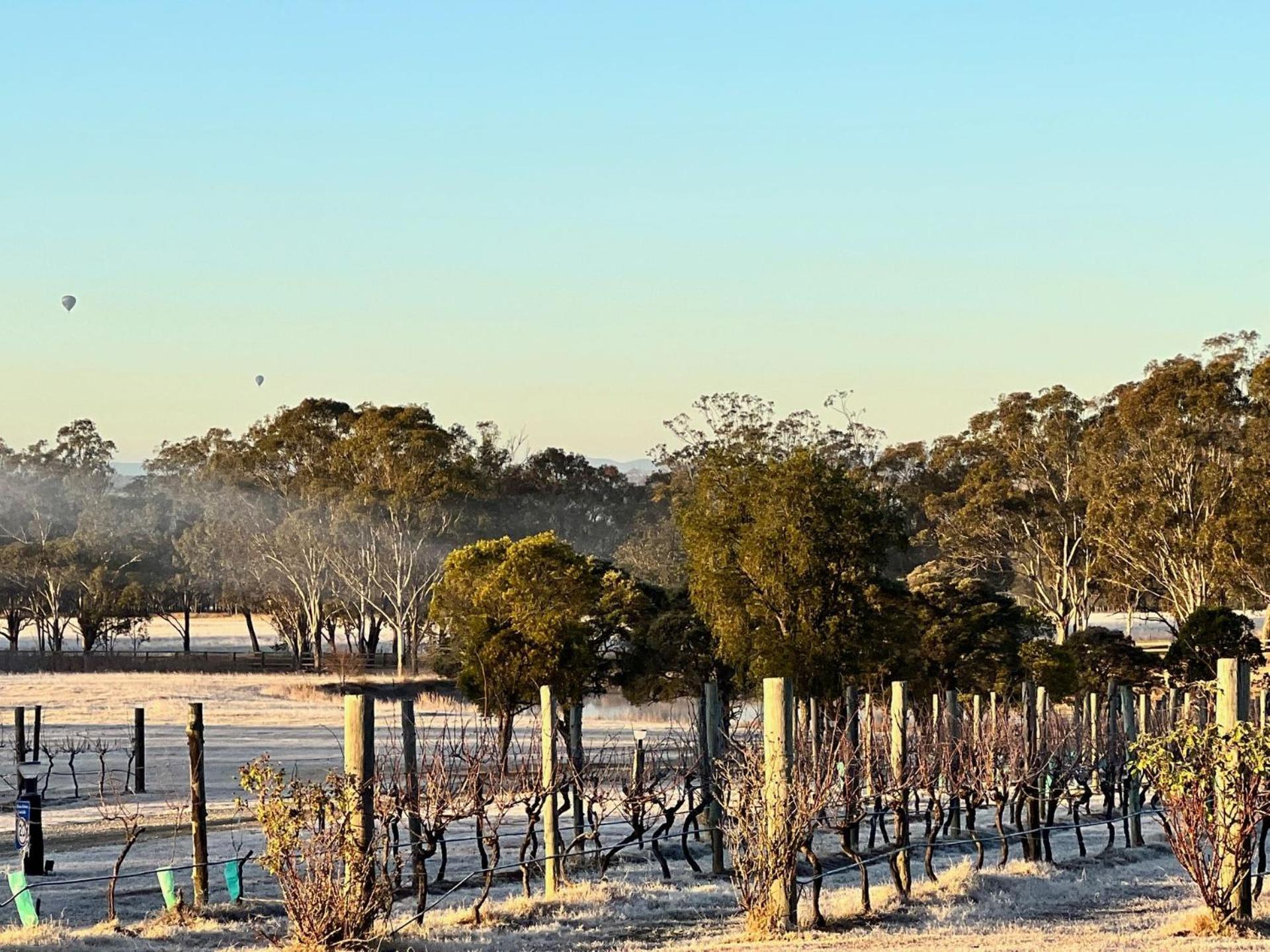 Bracken Ridge Vineyard - The Kingston - Villa 3 Rothbury Buitenkant foto